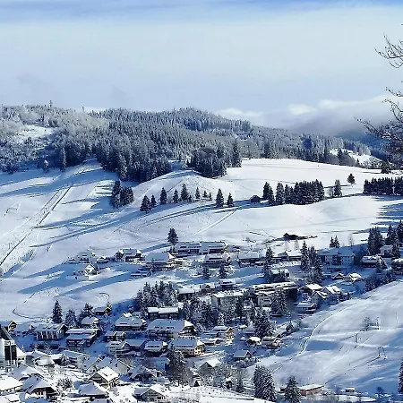 Daire Schauinsland.10 Todtnauberg